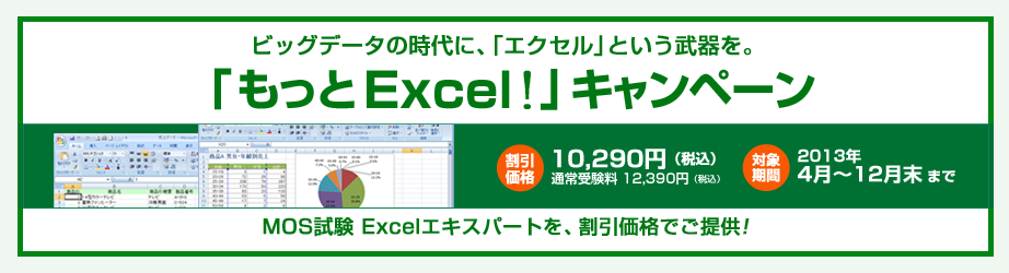Excelキャンペーン